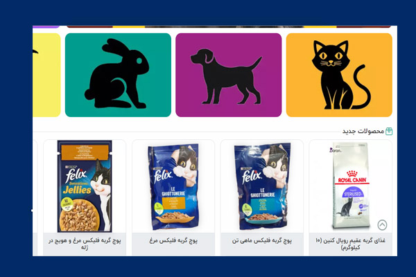 وب سایت فروشگاهی بت شاپ